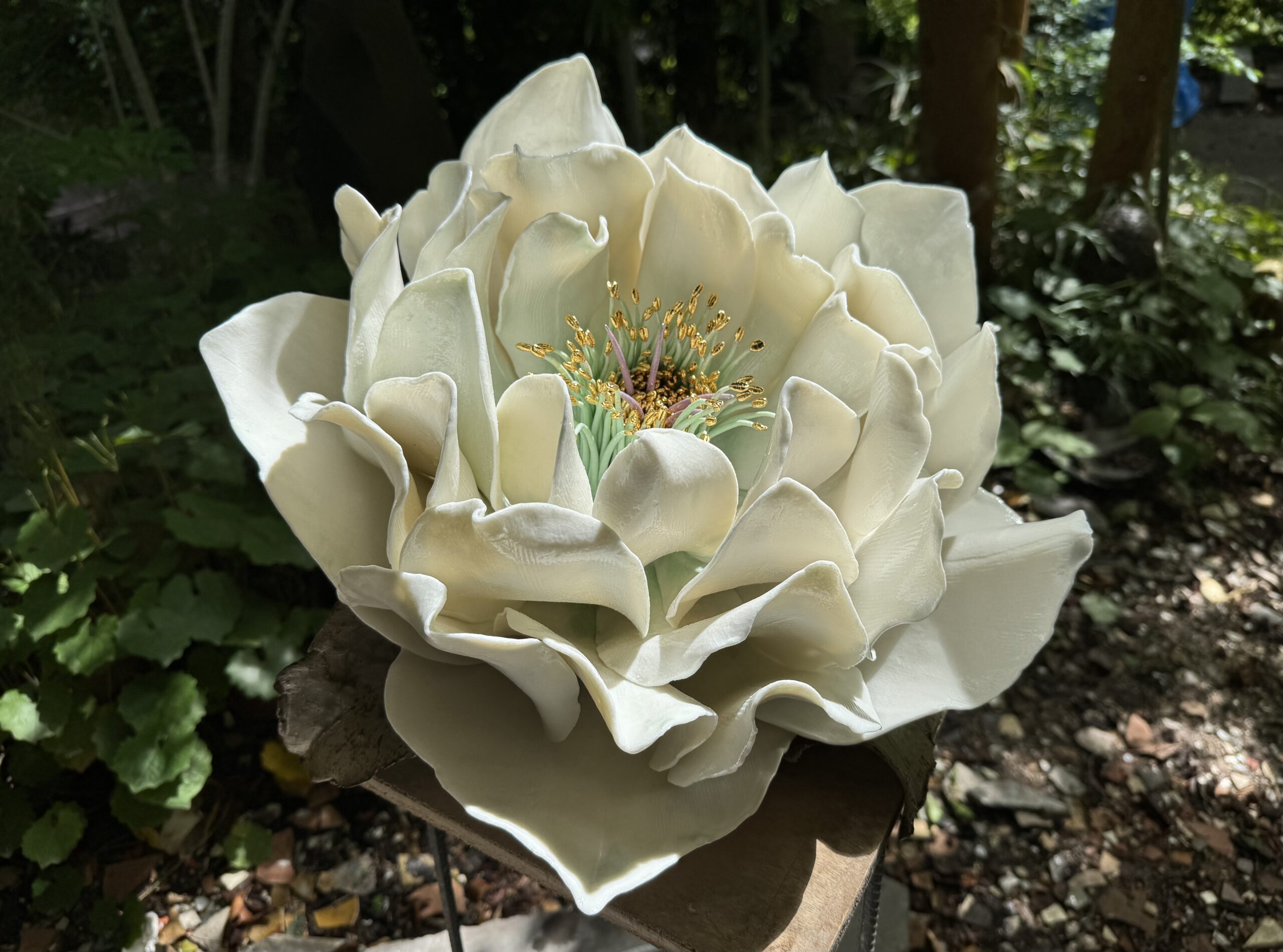 杉浦 康益 展 陶の博物誌 5/23(金)～31(土)＊25・26休 作家在廊日